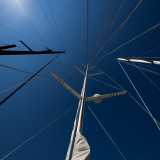 ...� intento a salire sull�albero per un �check aereo�